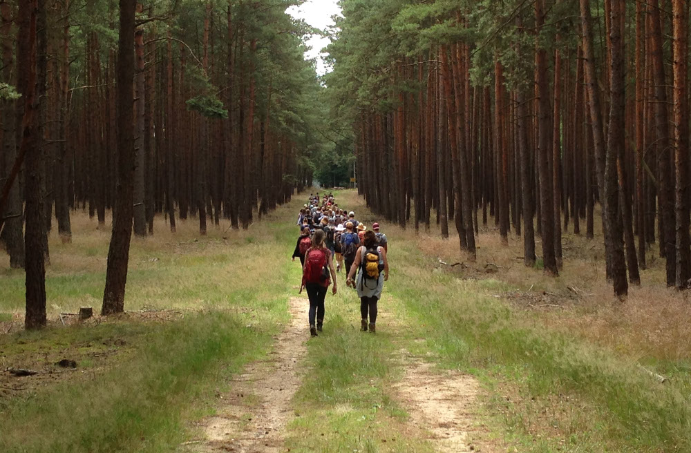 Der Choralchor der St.-Johannis-Kantorei Rostock ist in diesem Sommer zum 40. Mal von Kirche zu Kirche unterwegs