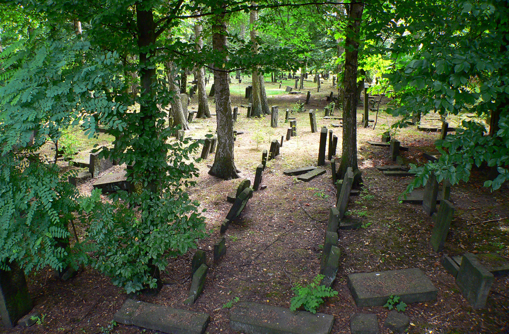 Der Jüdische Friedhof von Hamburg-Altona