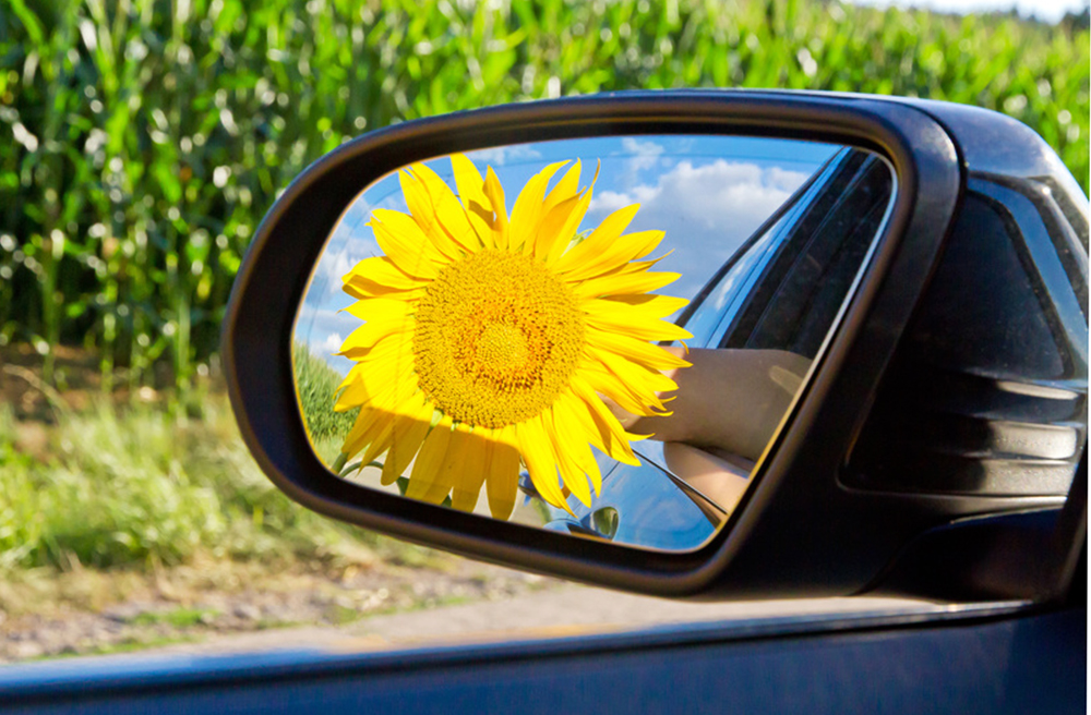 Image - Die Bischöfe im Norden fahren am klimafreundlichsten