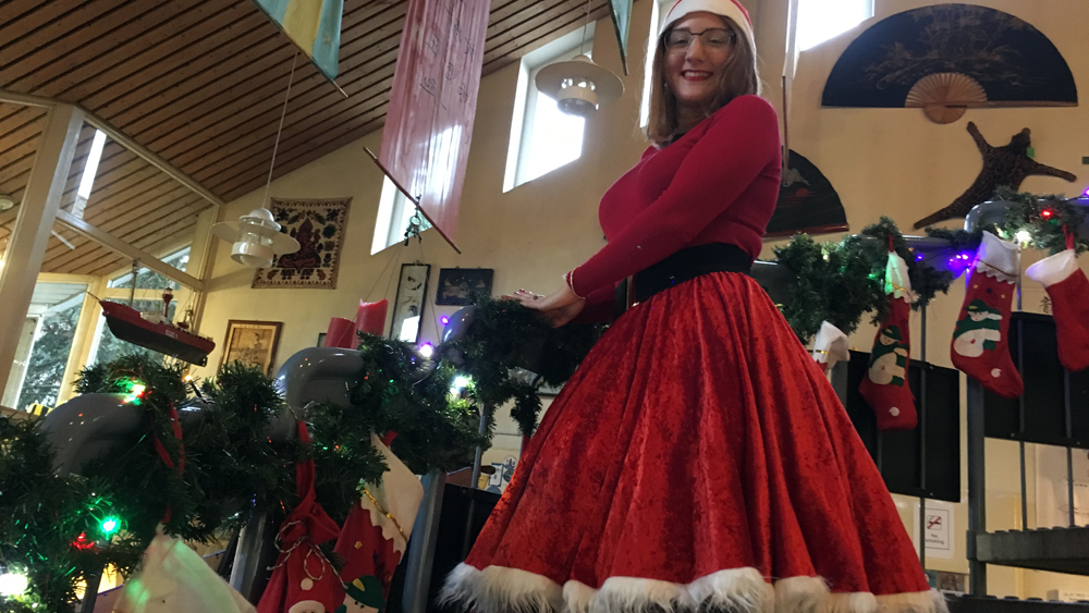 Weihnachtselfe Swaanke Wibel