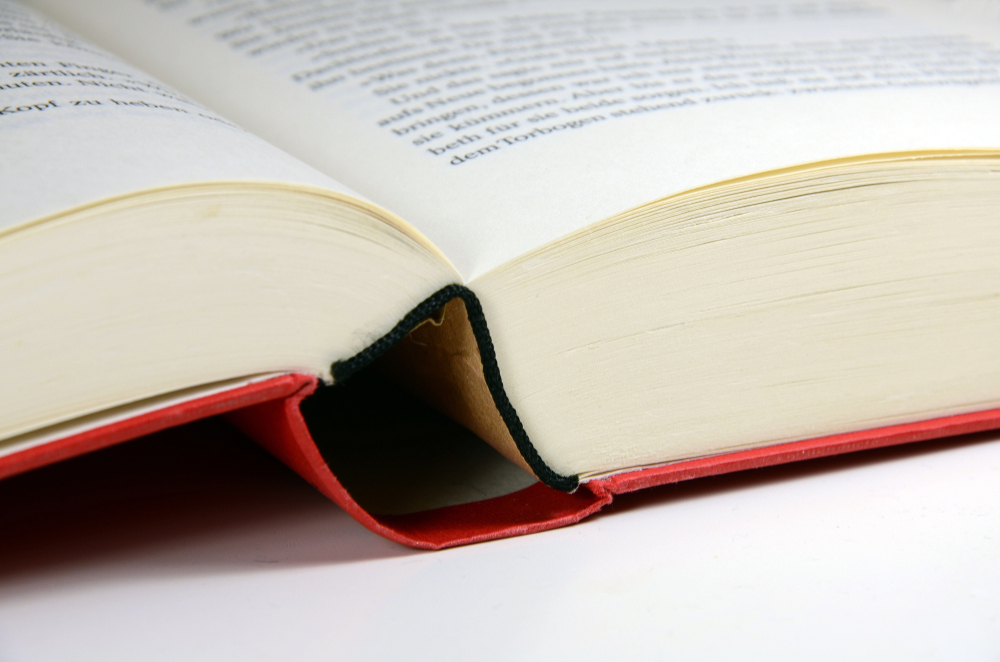 Image - Am Anfang war ein Brandbrief – Buch zur Geschichte der Nordkirche