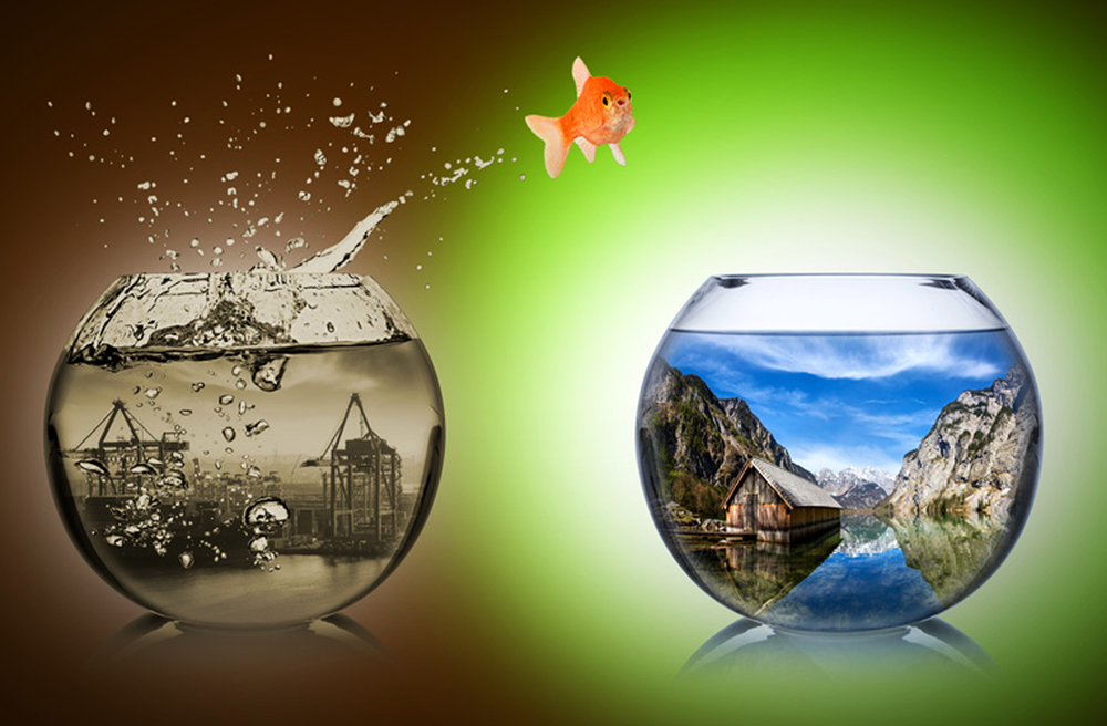 Image - Der weite Weg zum Erfolg des Klimagpifels