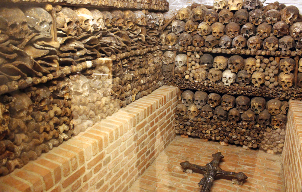 Image - Ein Mittagsgebet zwischen alten Knochen