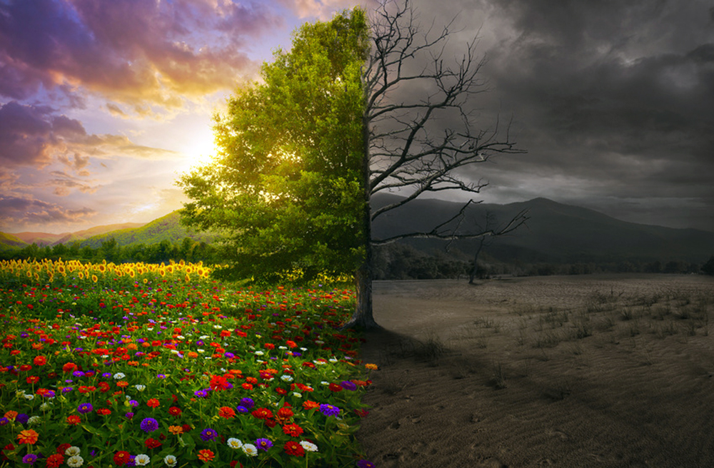 Über Leben und Tod sprechen die Teilnehmer beim Pfarrertag in Lübeck-Travemünde