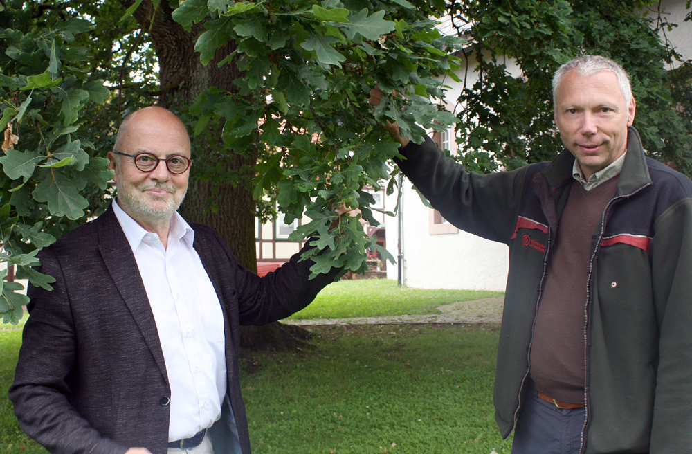 Superintendent Ulrich Wöhler (li.) und Förster Andreas Kretschmer vor der Luthereiche in Polle