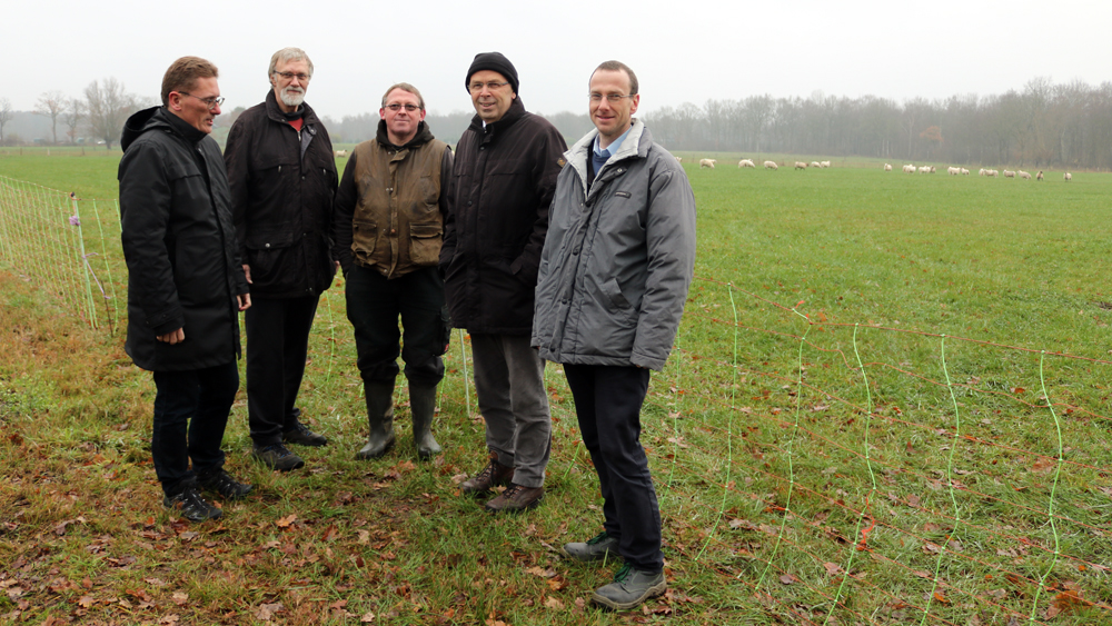 Auf der Schafweide (v.l.): Propst Thomas Bergemann, Holger Gerth, Stefan Johannsen, Bischof Gothart Magaard und Jan Menkhaus