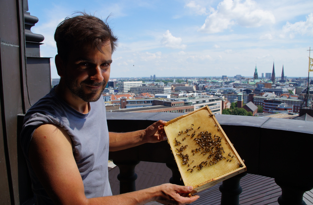 Arbeitsplatz mit Aussicht: David Hohmann kümmert sich auf dem Michel-Turm um seine Honigbienen.