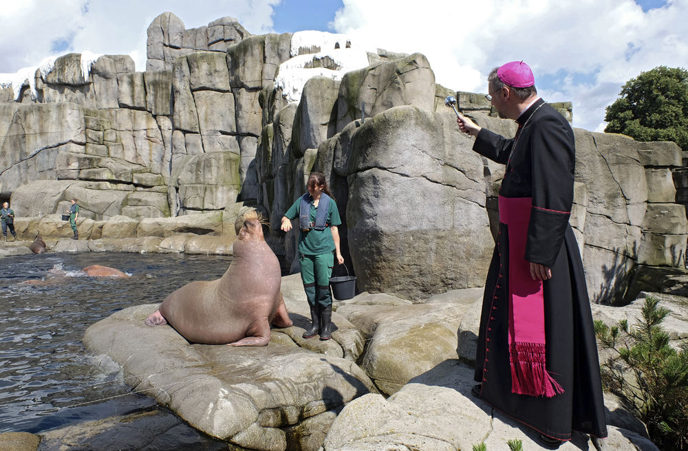 Einen tierischen Segen spendete Erzbischof Heße dem Walross Raisa