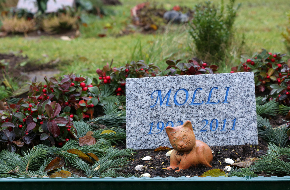 Das Grab der Katze Molli wird liebevoll gepflegt