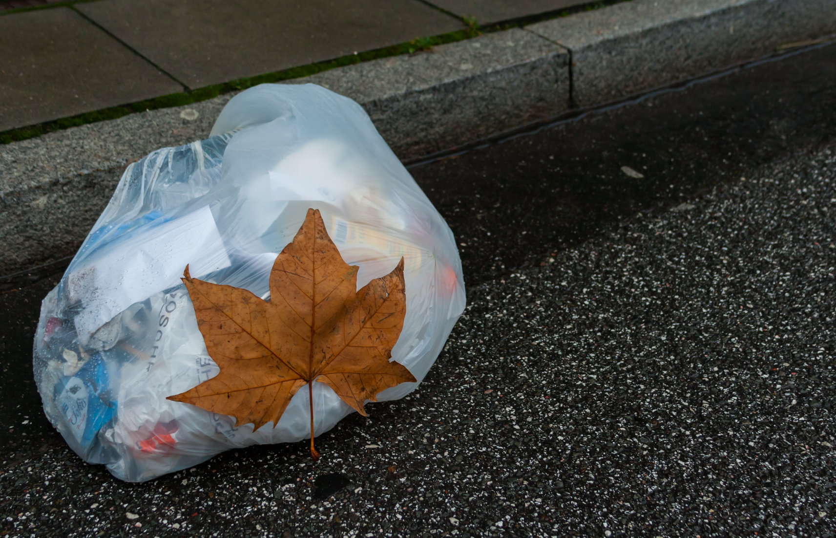 Plastiktüten sind nicht besonders umweltfreundlich
