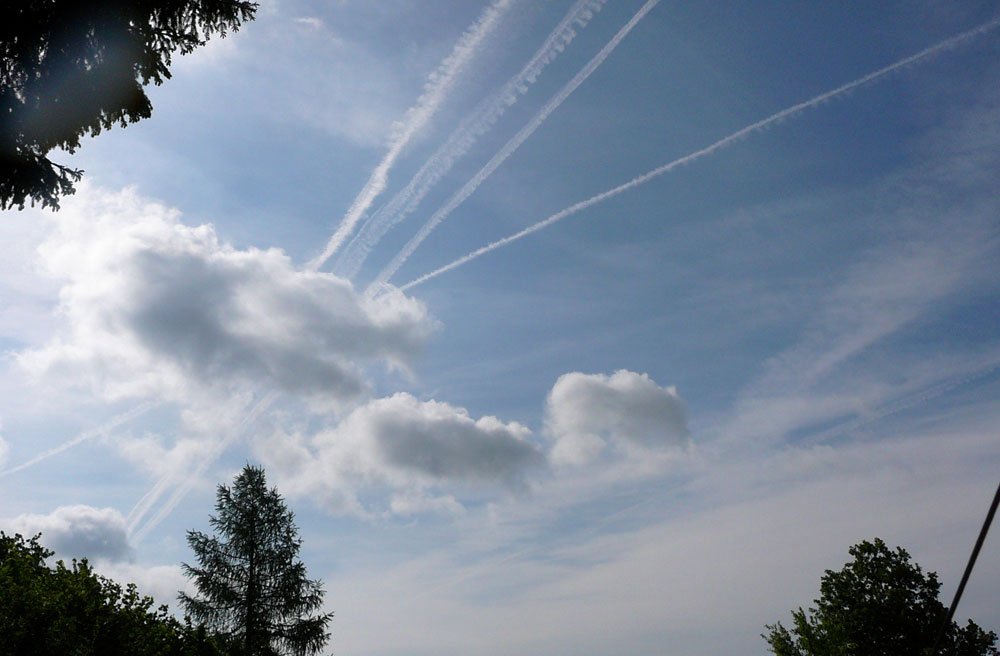 Image - Himmelfahrts-Gottesdienste unter freiem Himmel