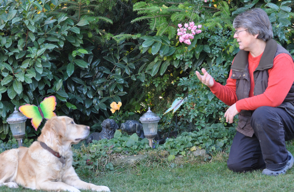 Die Hundetrainerin Petra Stiekel mit ihrer Hündin Abbygaile an der Grabstaette ihrer verstorbenen Hunden Enya und Shantie.