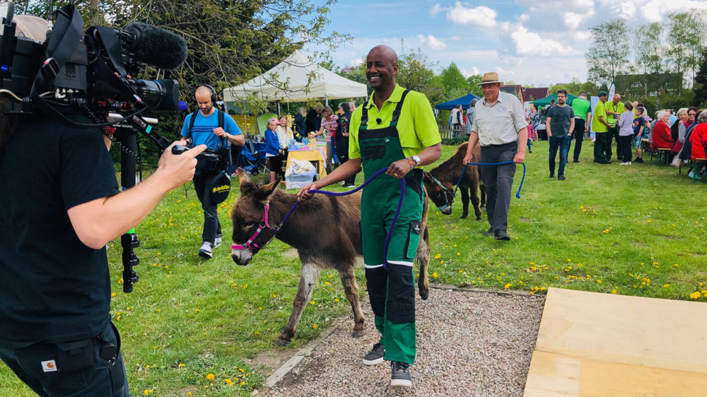 Und Action: Yared Dibaba läuft mit Eselin Maya über den Bunten Markt auf dem Lauenburger Friedhof.