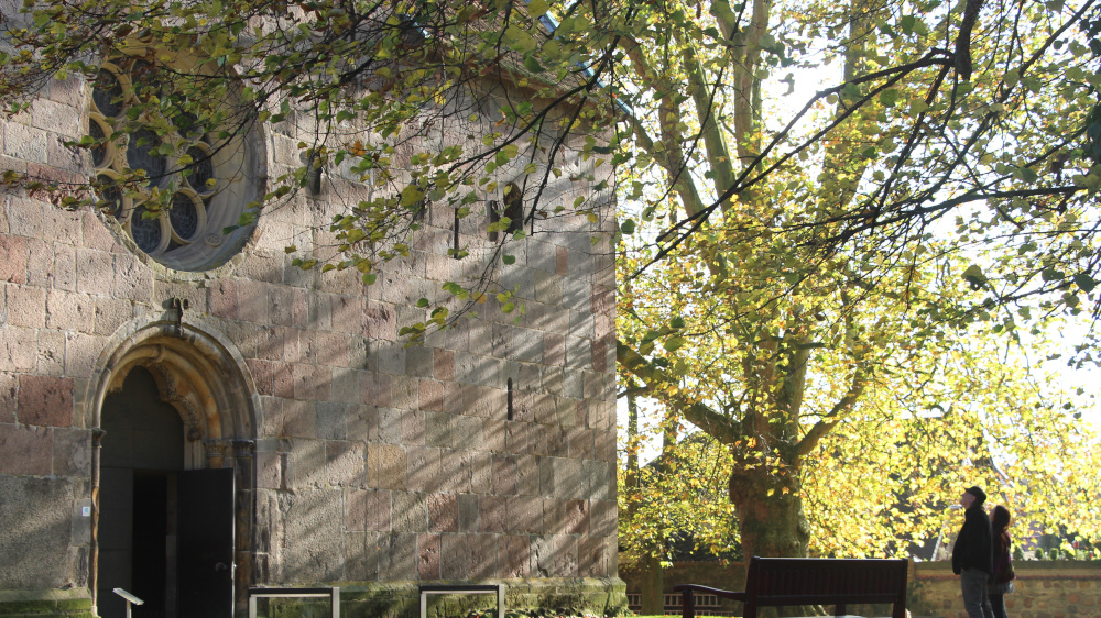 Die Alexanderkirche in Wildeshausen zählt zu den ältesten Kirchen im Oldenburger Land. Noch verdeckt die Orgel das Rosettenfenster, künftig soll sie es umschmeicheln.