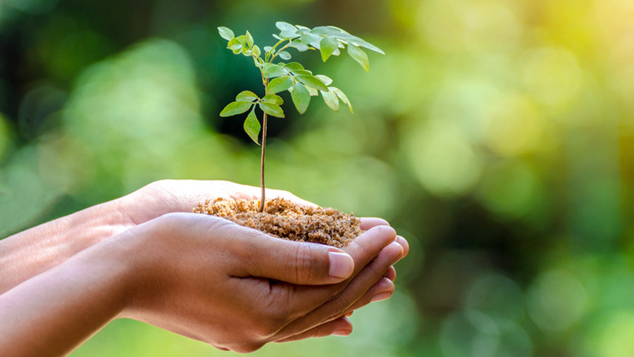 Image - “Zu wenig Verbindlichkeit”