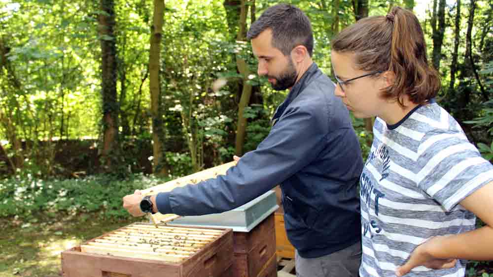 Jan-Phillip Behr und Rike Magaard schauen sich ihre Bienenstöcke an