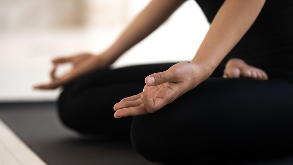 Image - Stadtkloster feiert fünfjähriges Bestehen