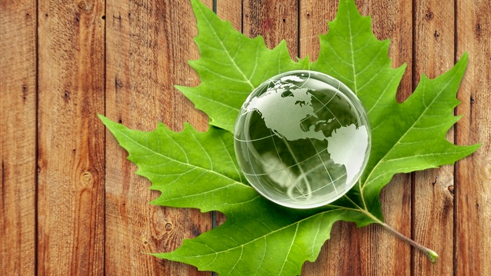 Image - Wettbewerb soll Tiere und Pflanzen schützen