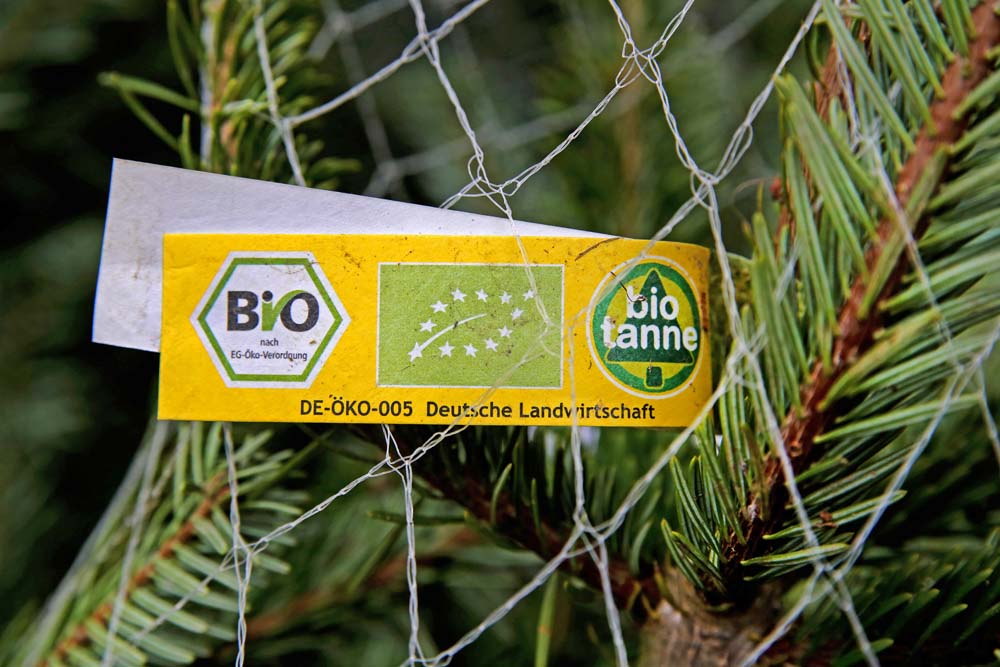 Ein Baum mit einem Bio-Zertifikat Foto: Thomas Rohnke / epd