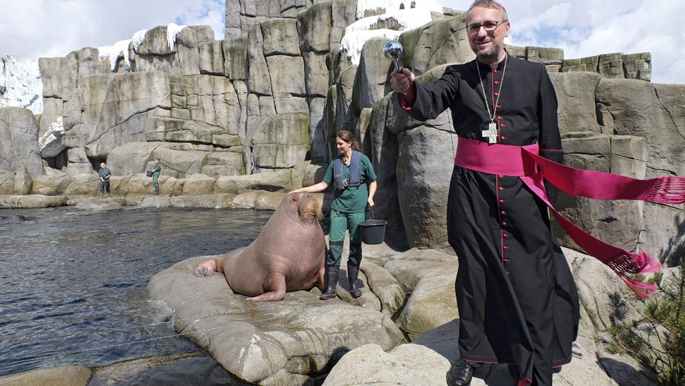 Im Tierpark Hagenbeck segnet Erzbischof Stefan Heße im Juni 2016 das Walross "Raissa"