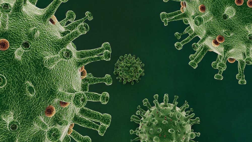 Image - Staatsanwaltschaft ermittelt nach Corona-Ausbruch in Bibelschule