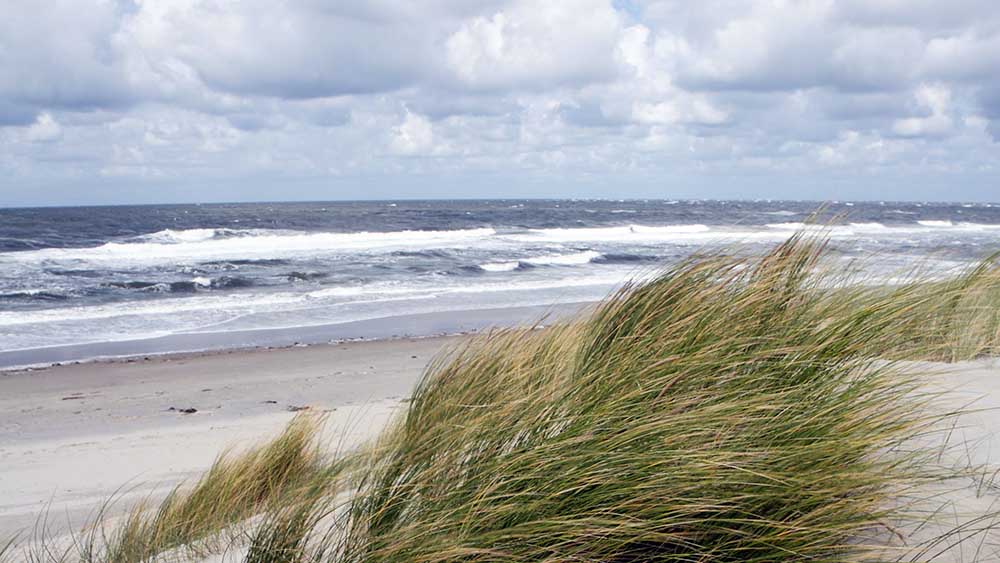 Image - Frischer Wind unter die Flügel