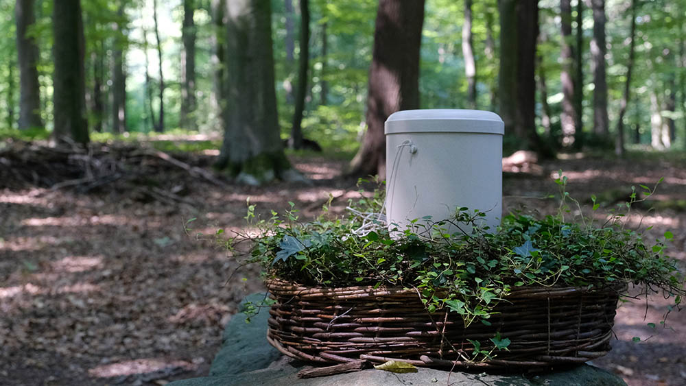 Eine Urne im Ruheforst Deister (Symbolbild)