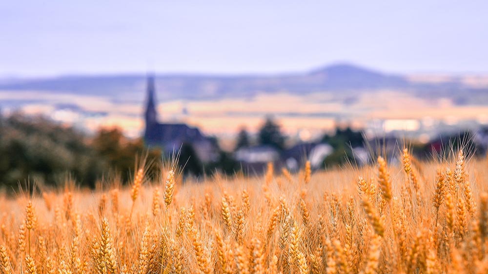 Image - Viele Kirchen – wenig Personal