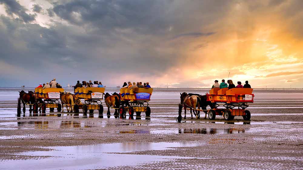 Image - Ein Tag mit Bibel und Rucksack