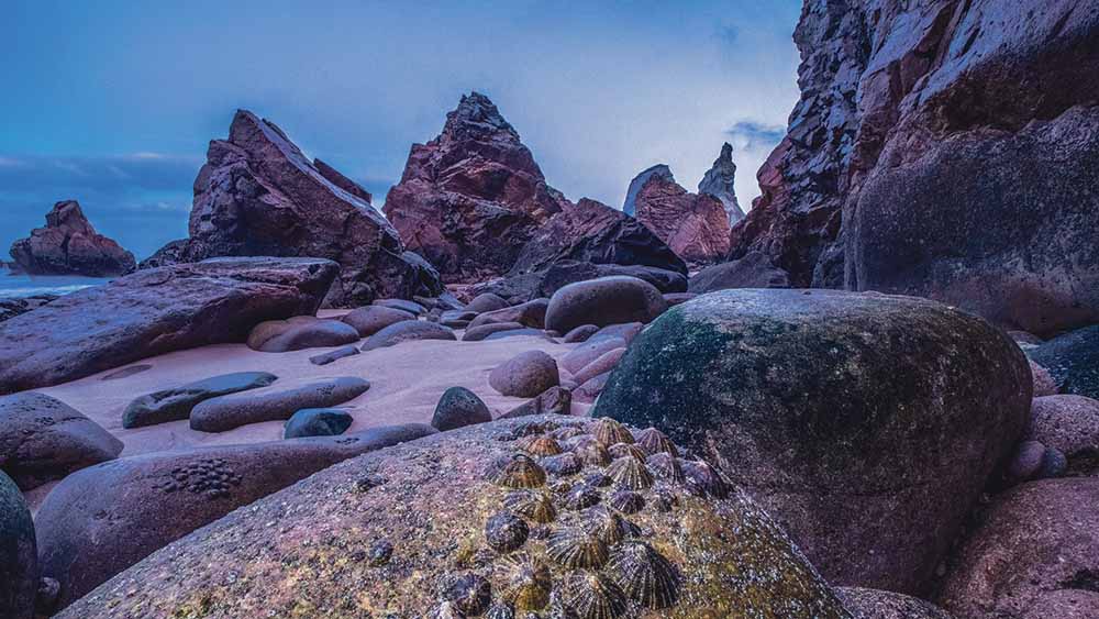 Die Fotos zeigen die Vielfalt des Lebensraums Küste