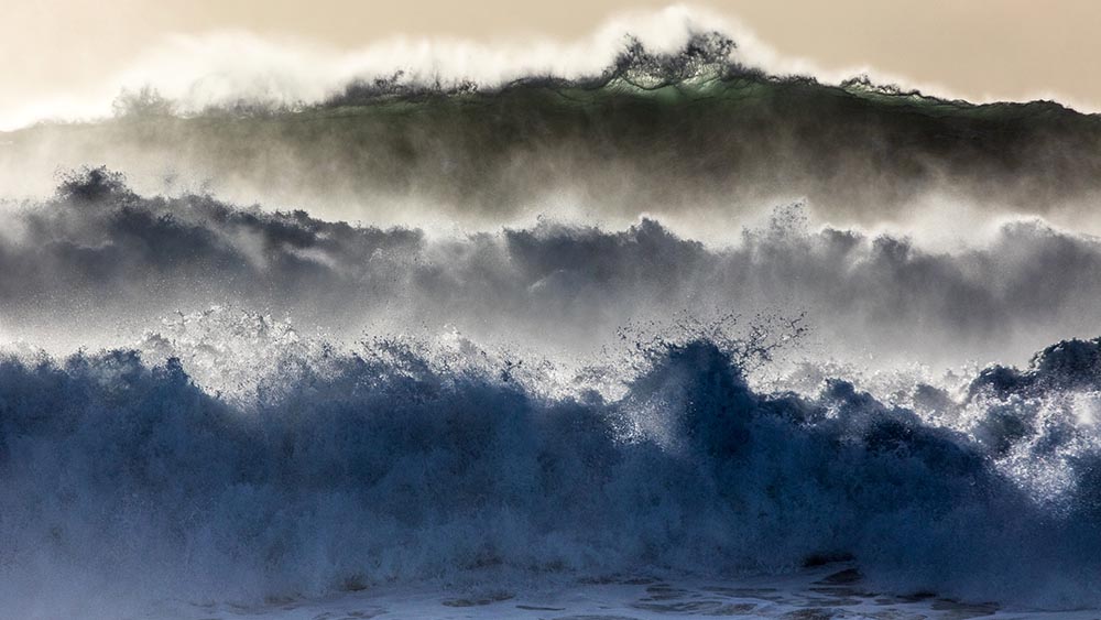 Image - Der Fotograf und das Meer