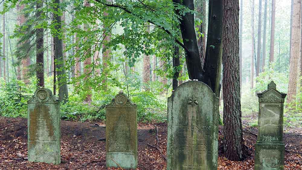 Der Jüdische Friedhof in der Wingst wurde 1767 zum ersten Mal erwähnt