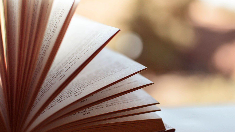 Image - Begegnungen auf dem Land