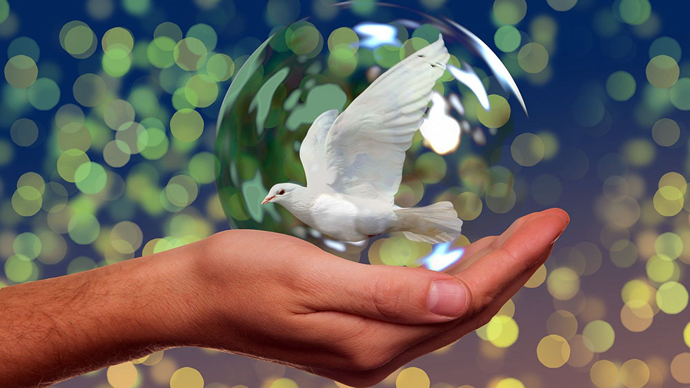 Image - Nordkirche startet Projekt #redenüberfrieden