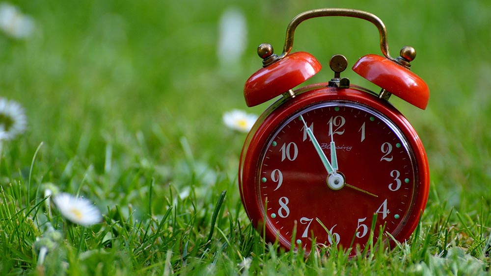 Image - Fünf vor zwölf: Kirchen im Norden machen mit beim Klimastreik