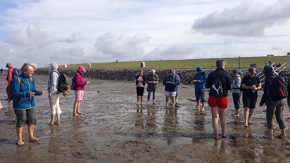 Wattwandern gehört auch mal zum Programm eines CJK-Seminars