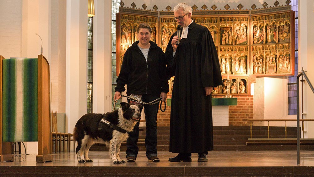 Image - Kieler Marktkirche feiert Tiergottesdienst