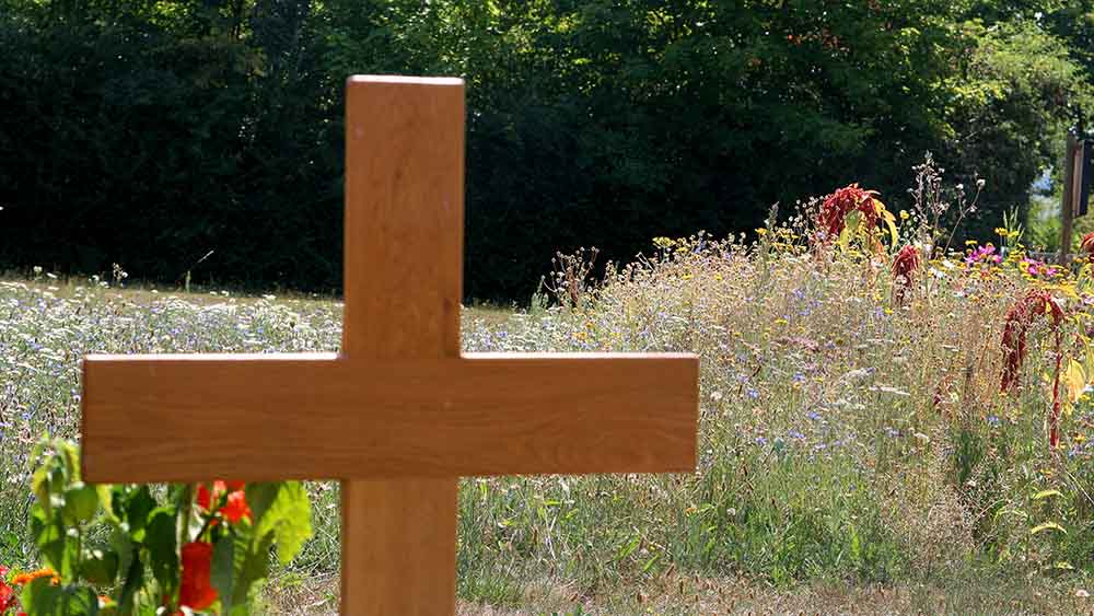 Auch Bienenweiden auf Friedhöfen schlagen die Forscher vor