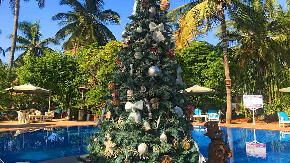 Weihnachtlich geschmückter Baum am Pool im Badeort Saly