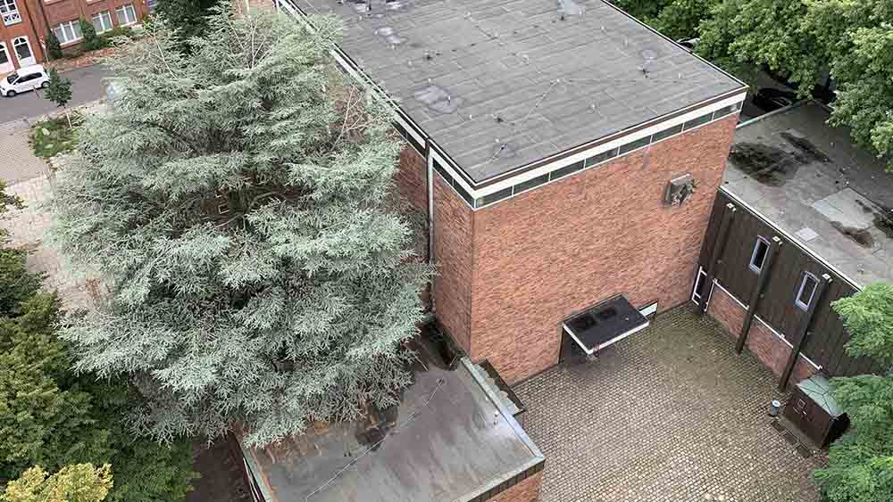 Die Harburger Dreifaltigkeitskirche ist vom Kirchenkreis als verzichtbar eingestuft worden