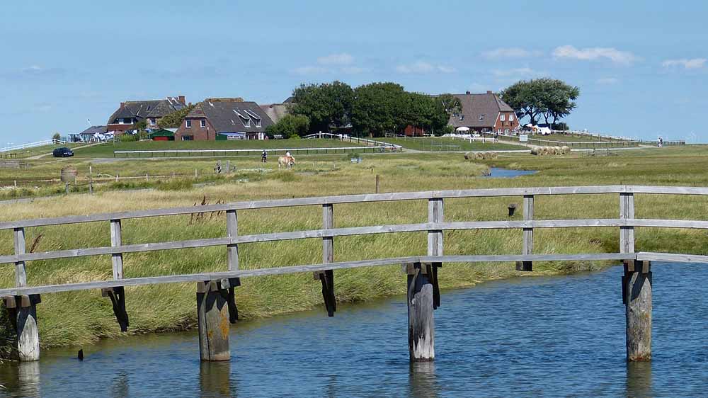 Weite Landschaft: Blick auf eine Warft der Hallig Hooge