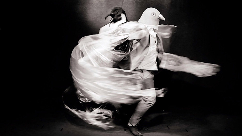 „Sie tanzen“ von Achim Kirsch (Windeby) und Stina Kurzhöfer (Kiel)