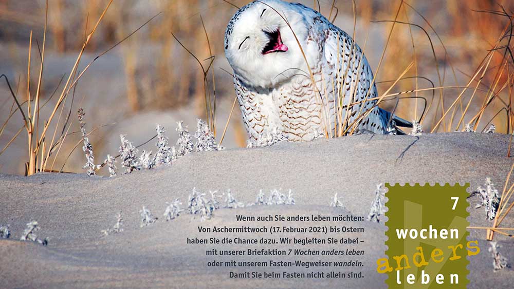 Es gibt doch noch was zu lachen – das Titelbild der Aktion "7 Wochen anders leben"