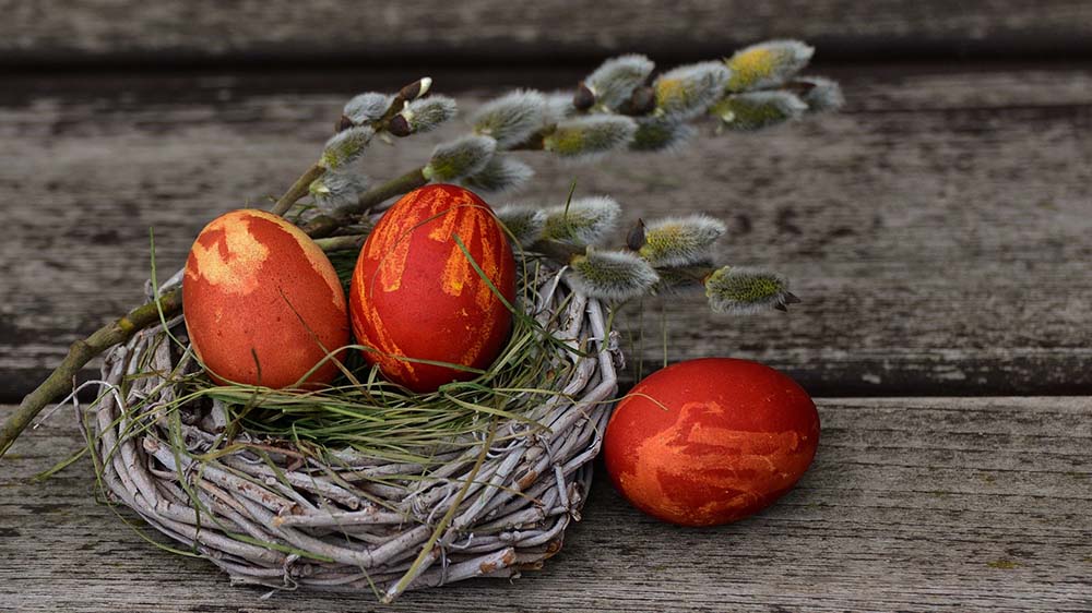 Image - Aktion “Osterglück” macht Senioren und Wohnungslose froh