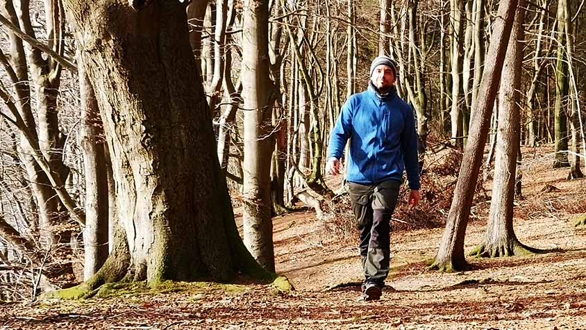 Unser Redakteur Thorge Rühmann pilgert durch den Wald