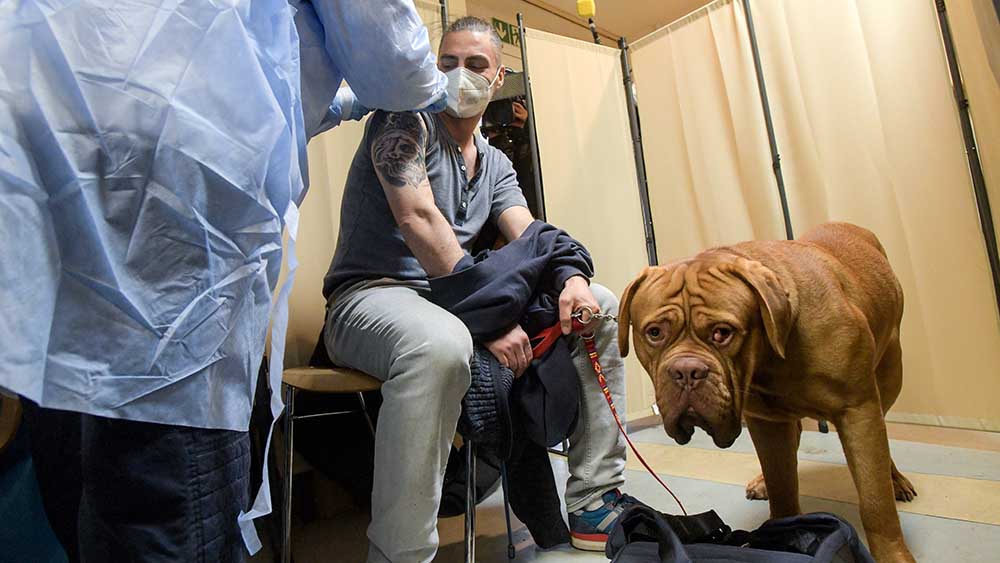 Helmut wird gegen Corona geimpft – seinen Hund Ascko scheint das nicht besonders zu interessieren