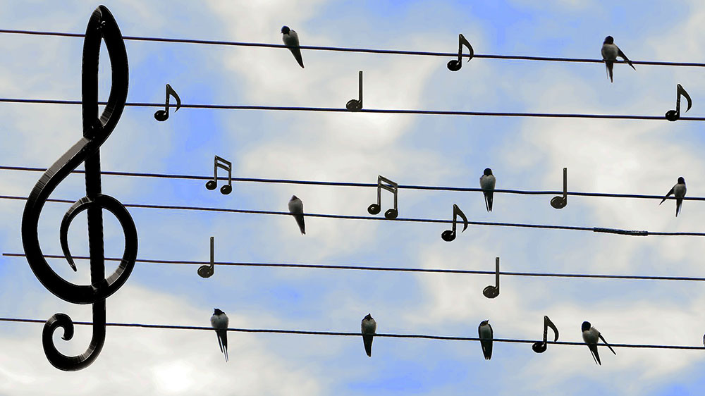 Image - Kirchen erlauben Gemeindegesang – vorerst nur unter freiem Himmel