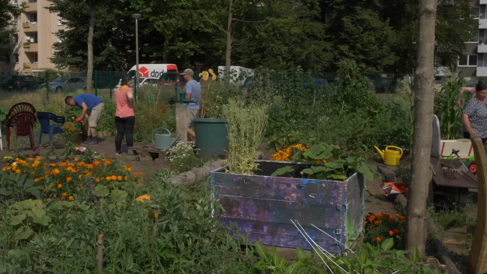 Image - Auf gute Nachbarschaft!