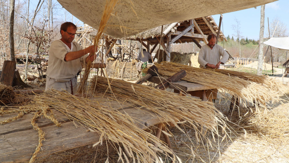 Was auf dem rund 25 Hektar grossen Gelaende nahe Messkirch am Rand der Schwaebischen Alb in Baden-Wuerttemberg entsteht, ist einzigartig. (Foto vom 28.04.2021: Andreas Mutter (li.) und Nils Vollprecht binden Roggenhalme fuer die Klosterscheunen-Dachdeckung) Seit knapp zehn Jahren wird auf dem Campus Galli, so der Name, an einem Kloster gebaut – unter Bedingungen des frühen Mittelalters. Hintergrund ist der St. Galler Klosterplan. Er ist der einzig erhaltene Klosterplan aus dem frühen Mittelalter. Um das Jahr 800 skizzierten dessen Urheber die Idealform eines Klosters – für Gozbert, den Abt in St. Gallen. (Siehe epd-Feature vom 14.06.2021)