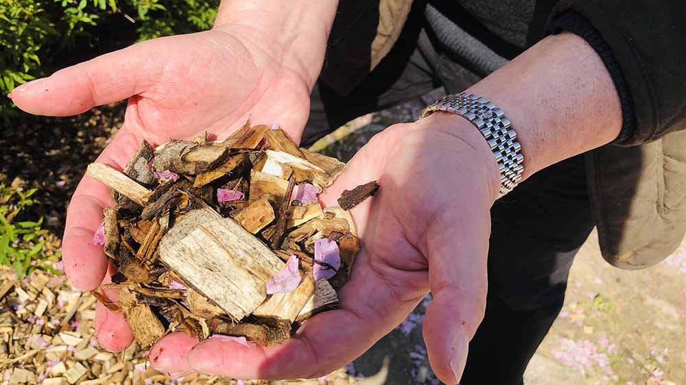 Mit diesem Holz soll bald geheizt werden